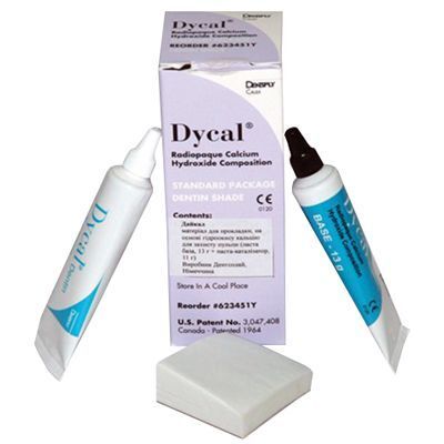 Дайкал (Dycal), слоновая кость, 13г+11г, 623401Y, ДЕНТСПЛАЙ