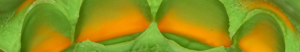 Hydrorise Hydrorise