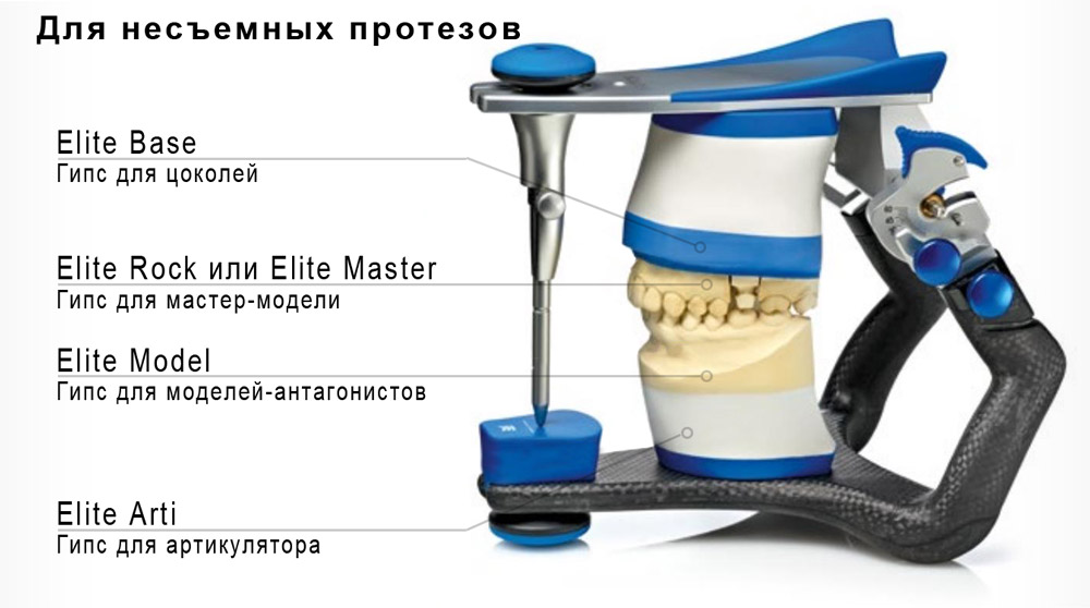 Elite Model Fast Elite Model Fast