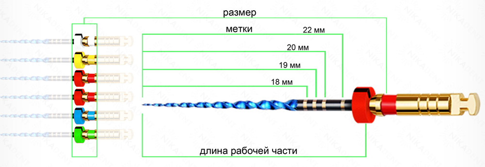 ultrafiles_blue_Tflex_01.jpg ultrafiles_blue_Tflex_01.jpg