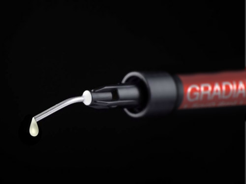 Gradia-Direct-Flo Gradia-Direct-Flo