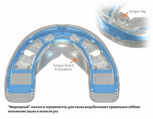 Трейнер Миобрэйс MB2